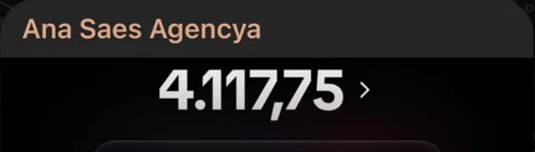 Print do TikTok: saldo de 4.117,75